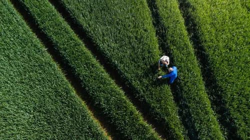 Agriculture & Agro-Processing
